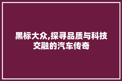 黑标大众,探寻品质与科技交融的汽车传奇