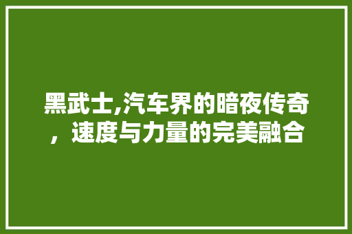 黑武士,汽车界的暗夜传奇，速度与力量的完美融合