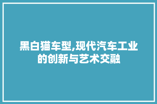 黑白猫车型,现代汽车工业的创新与艺术交融