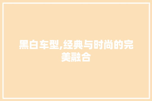 黑白车型,经典与时尚的完美融合
