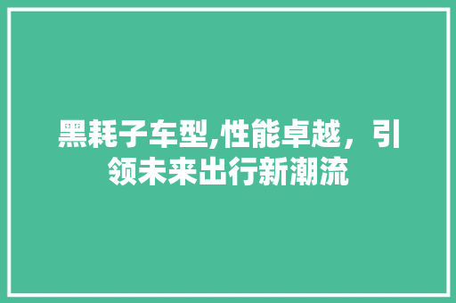 黑耗子车型,性能卓越，引领未来出行新潮流