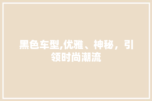 黑色车型,优雅、神秘，引领时尚潮流