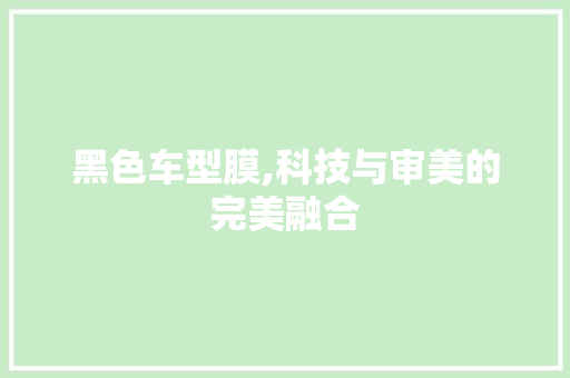 黑色车型膜,科技与审美的完美融合