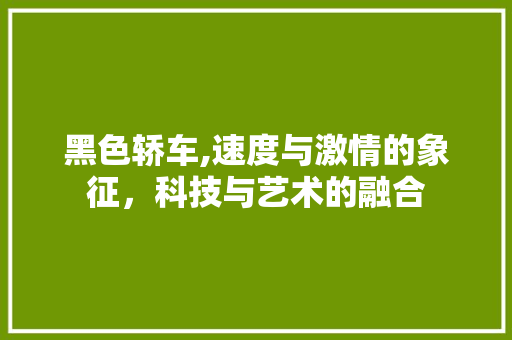 黑色轿车,速度与激情的象征，科技与艺术的融合