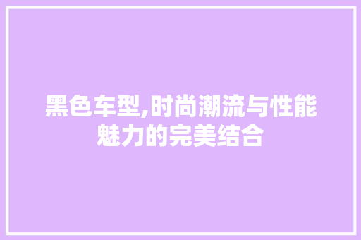 黑色车型,时尚潮流与性能魅力的完美结合