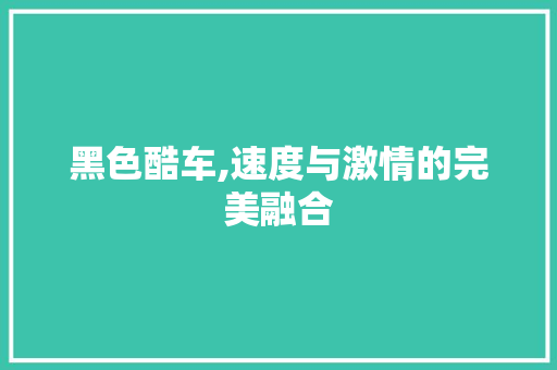 黑色酷车,速度与激情的完美融合