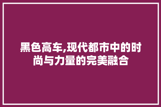 黑色高车,现代都市中的时尚与力量的完美融合
