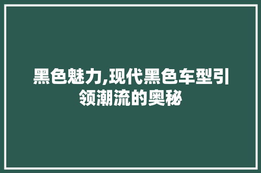 黑色魅力,现代黑色车型引领潮流的奥秘