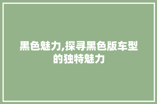 黑色魅力,探寻黑色版车型的独特魅力