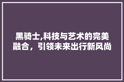 黑骑士,科技与艺术的完美融合，引领未来出行新风尚