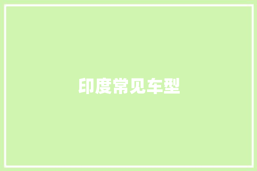 印度常见车型