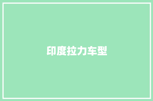 印度拉力车型