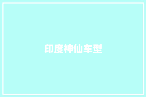 印度神仙车型