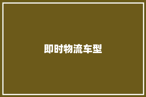 即时物流车型