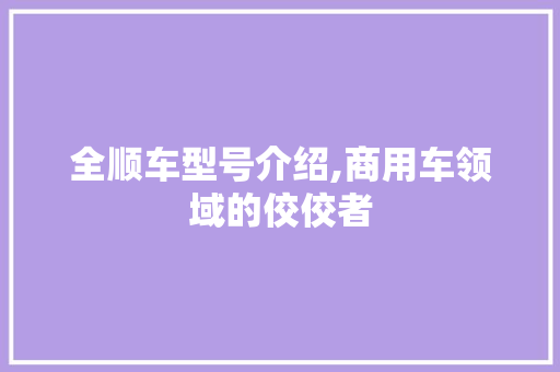 全顺车型号介绍,商用车领域的佼佼者