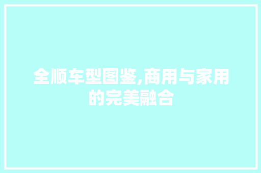 全顺车型图鉴,商用与家用的完美融合