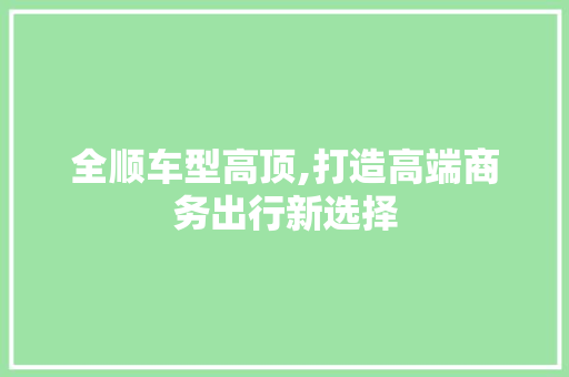 全顺车型高顶,打造高端商务出行新选择