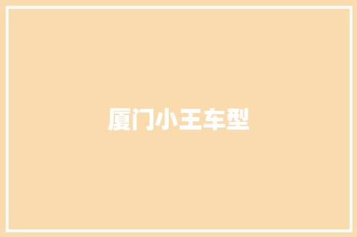 厦门小王车型