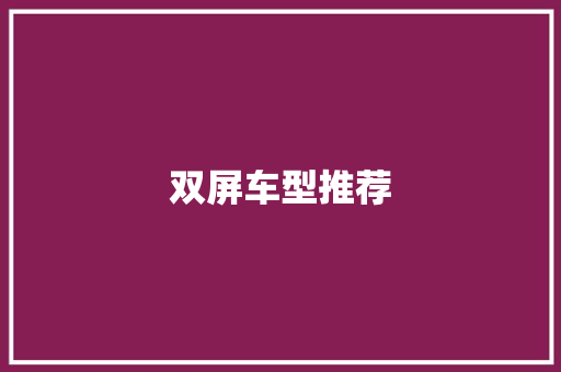 双屏车型推荐