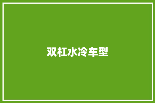 双杠水冷车型 新款车型