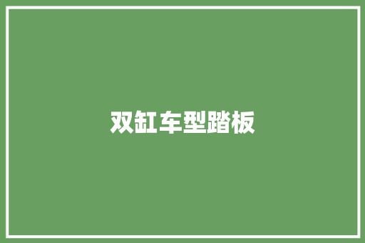 双缸车型踏板