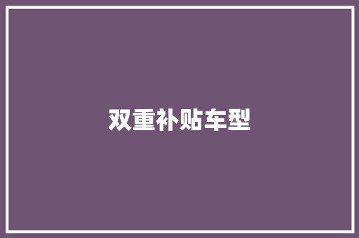 双重补贴车型