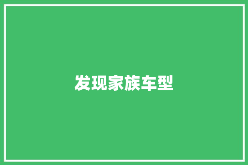 发现家族车型