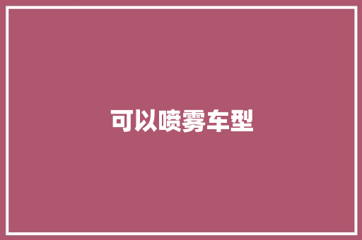 可以喷雾车型