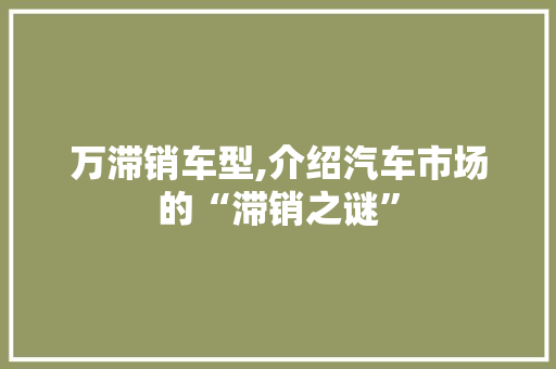 万滞销车型,介绍汽车市场的“滞销之谜”