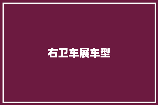 右卫车展车型