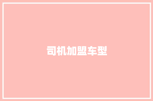 司机加盟车型