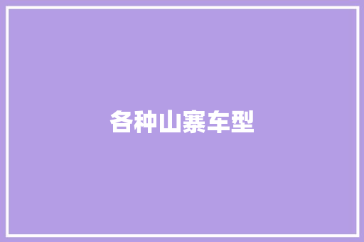 各种山寨车型