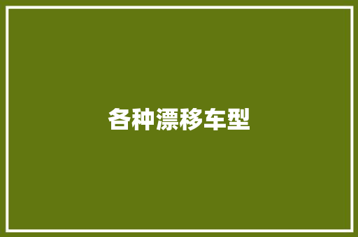 各种漂移车型