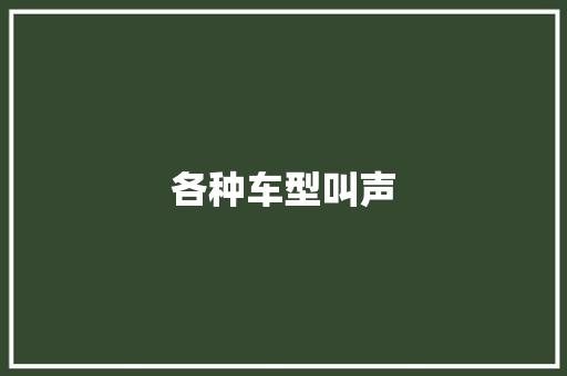 各种车型叫声