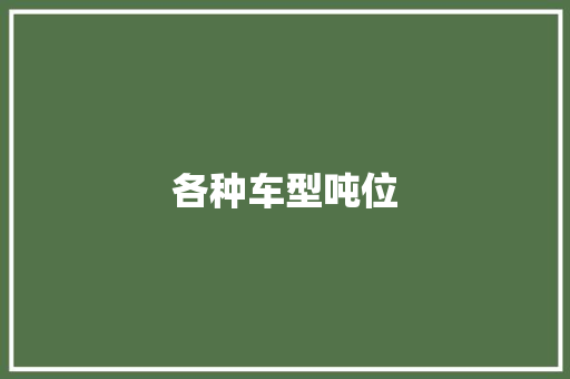 各种车型吨位