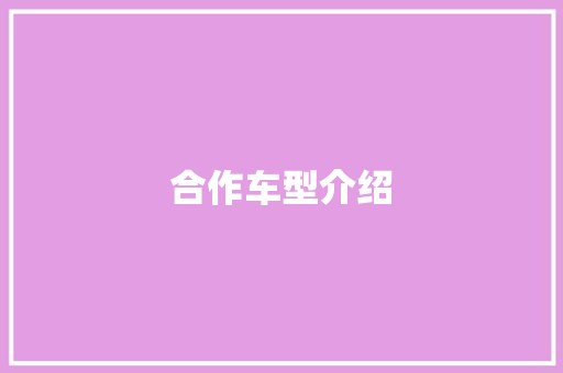 合作车型介绍
