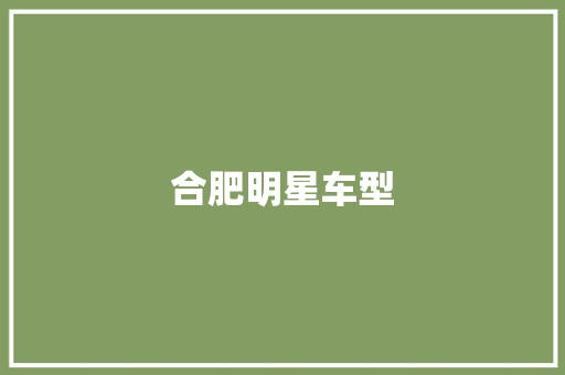 合肥明星车型
