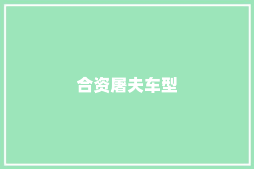 合资屠夫车型 车身配件