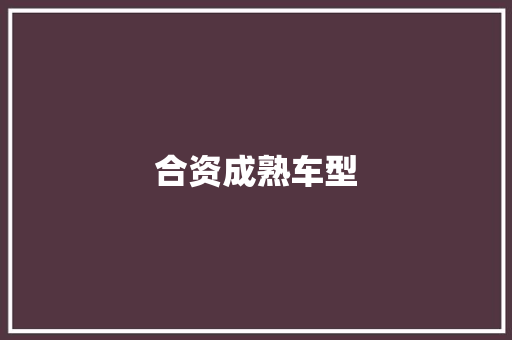 合资成熟车型