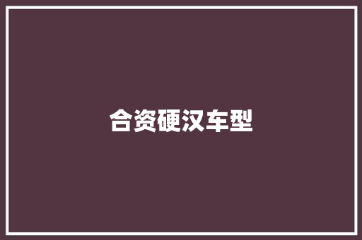 合资硬汉车型