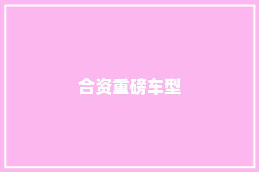 合资重磅车型