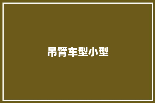 吊臂车型小型