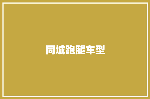 同城跑腿车型