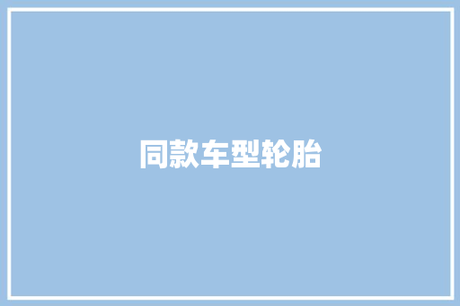 同款车型轮胎