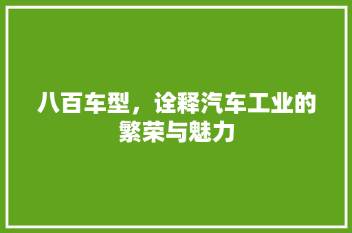 八百车型，诠释汽车工业的繁荣与魅力