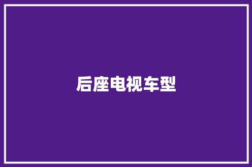 后座电视车型