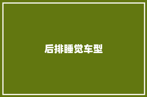 后排睡觉车型