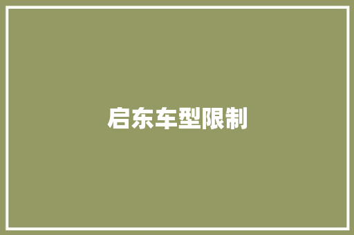 启东车型限制