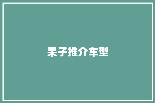 呆子推介车型
