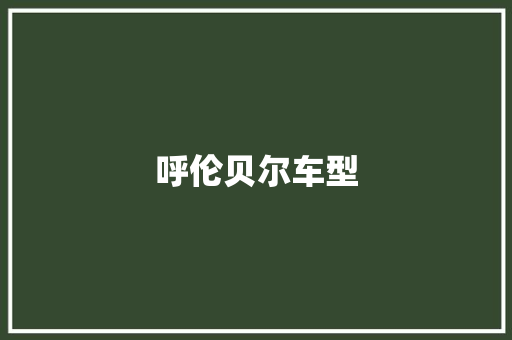呼伦贝尔车型